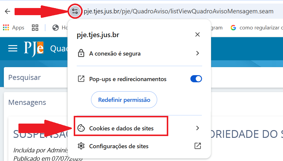 Menu de configurações do site no Chrome com a opção Cookies e dados de sites destacada