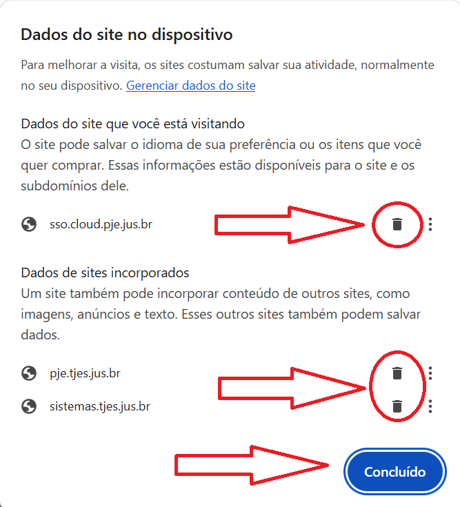 Janela Dados do site no dispositivo com sso.cloud.pje.jus.br e as lixeiras destacadas